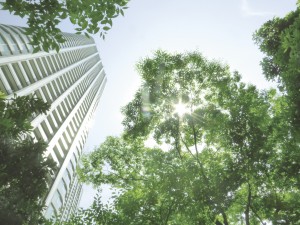 不動産管理・コンサル業